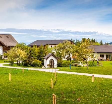 Vorderreithbauer Apartment Hof bei Salzburg Ngoại thất bức ảnh