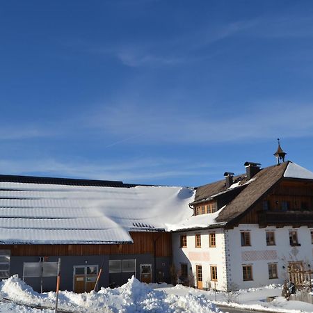 Vorderreithbauer Apartment Hof bei Salzburg Ngoại thất bức ảnh