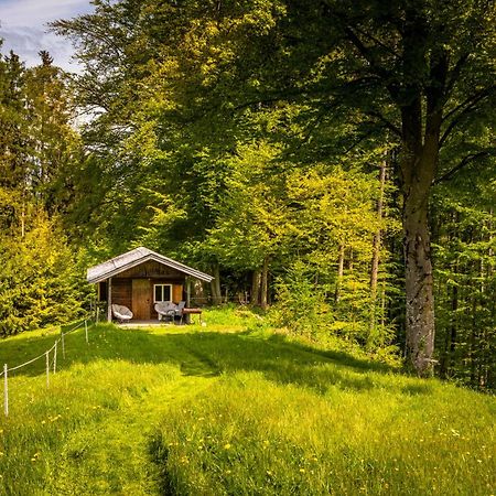 Vorderreithbauer Apartment Hof bei Salzburg Ngoại thất bức ảnh