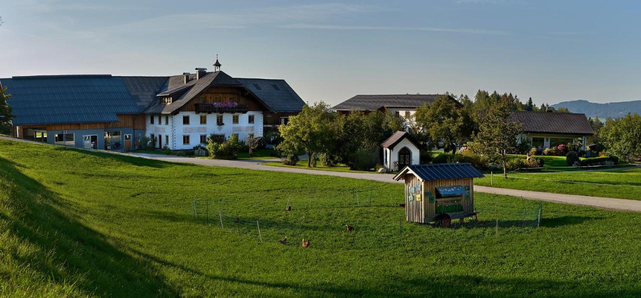 Vorderreithbauer Apartment Hof bei Salzburg Ngoại thất bức ảnh