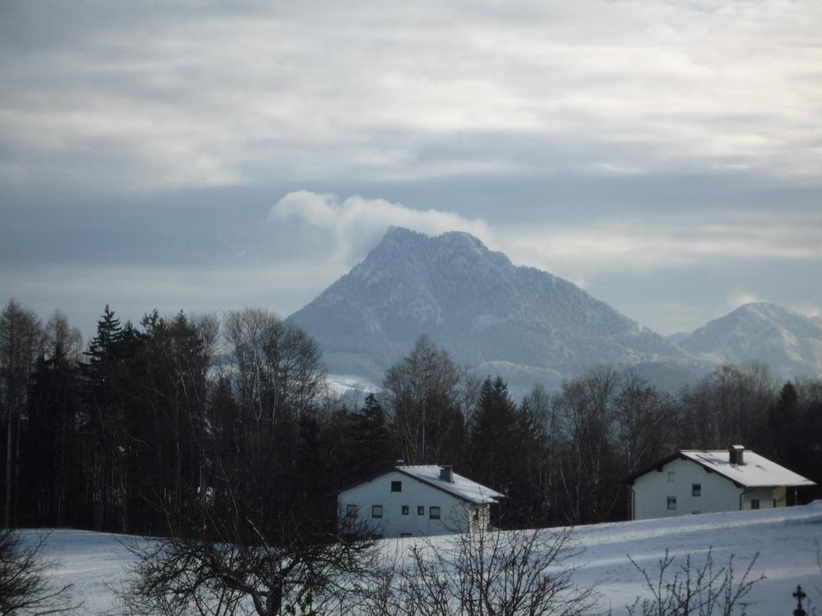 Vorderreithbauer Apartment Hof bei Salzburg Ngoại thất bức ảnh