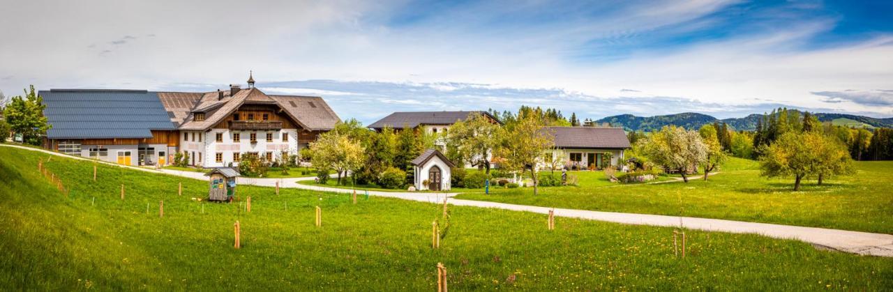 Vorderreithbauer Apartment Hof bei Salzburg Ngoại thất bức ảnh