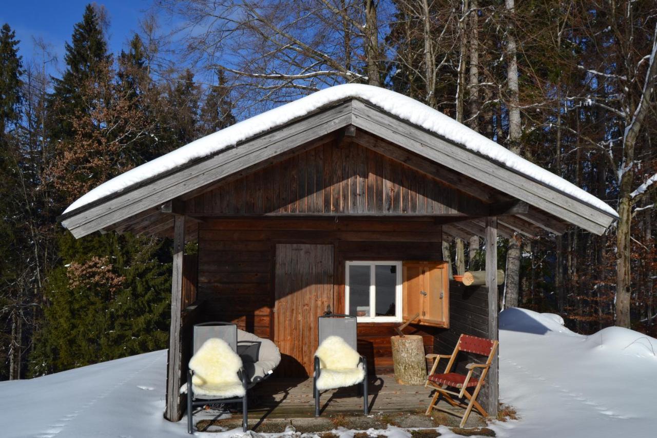 Vorderreithbauer Apartment Hof bei Salzburg Ngoại thất bức ảnh