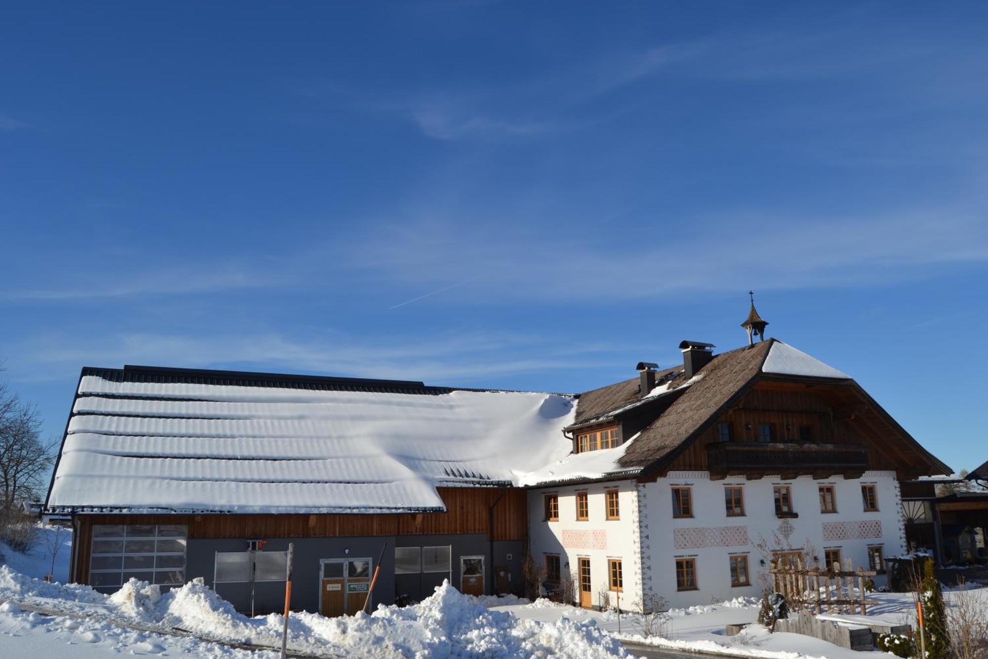 Vorderreithbauer Apartment Hof bei Salzburg Ngoại thất bức ảnh
