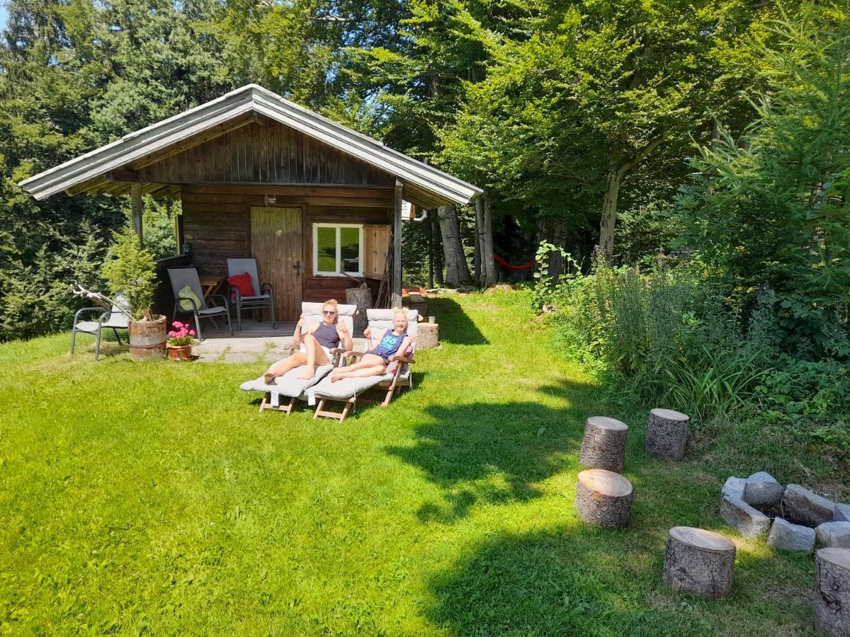 Vorderreithbauer Apartment Hof bei Salzburg Ngoại thất bức ảnh